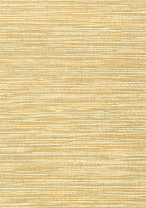 JINDO GRASS T75115
